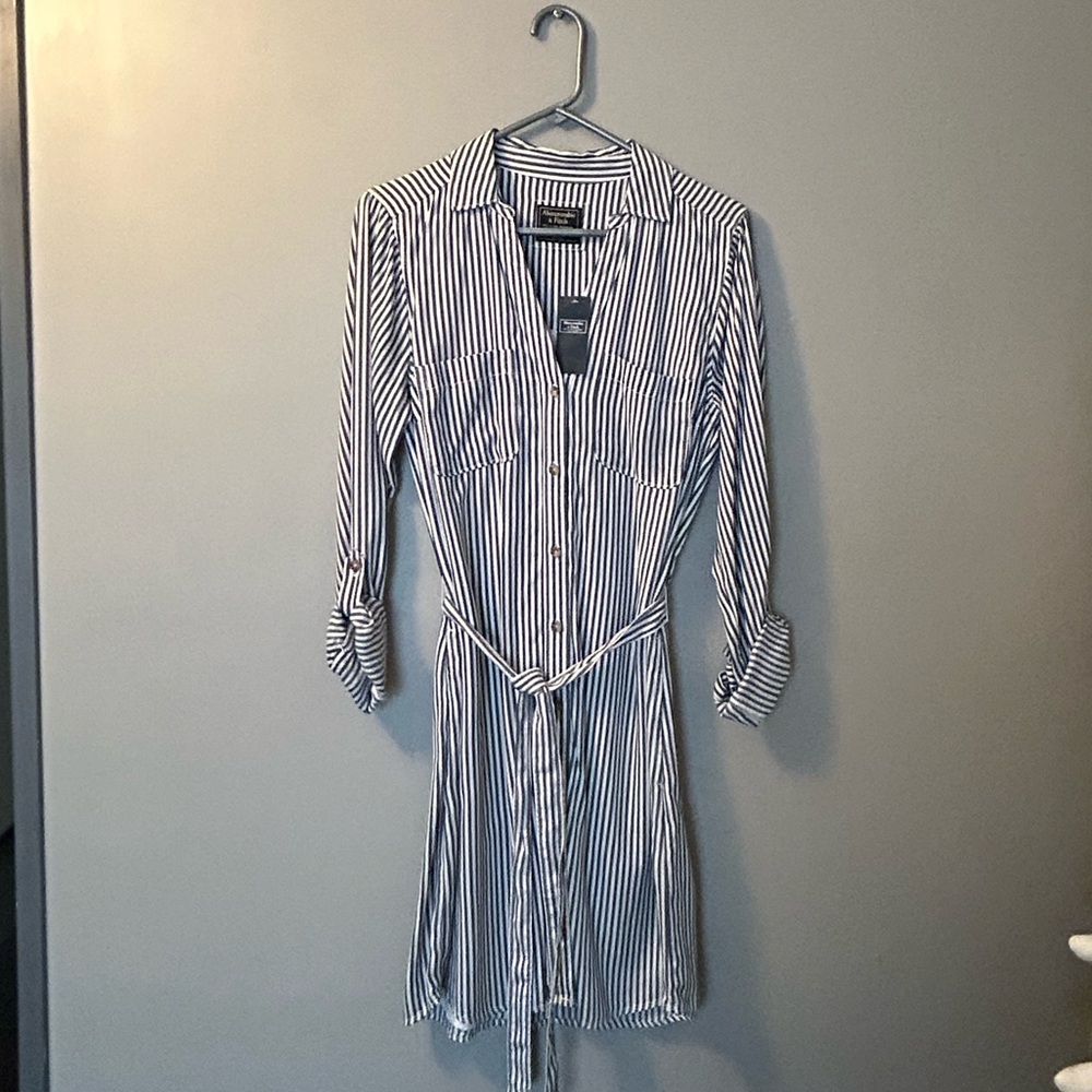 Abercrombie & Fitch Striped Shirt Dress, Belted, Button Down, Pockets, New, MT